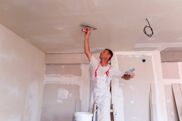 Reliable Ouray, CO Dry wall and painting Solutions